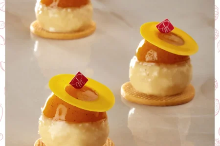 6-mazzoni-ricette-purea-mango