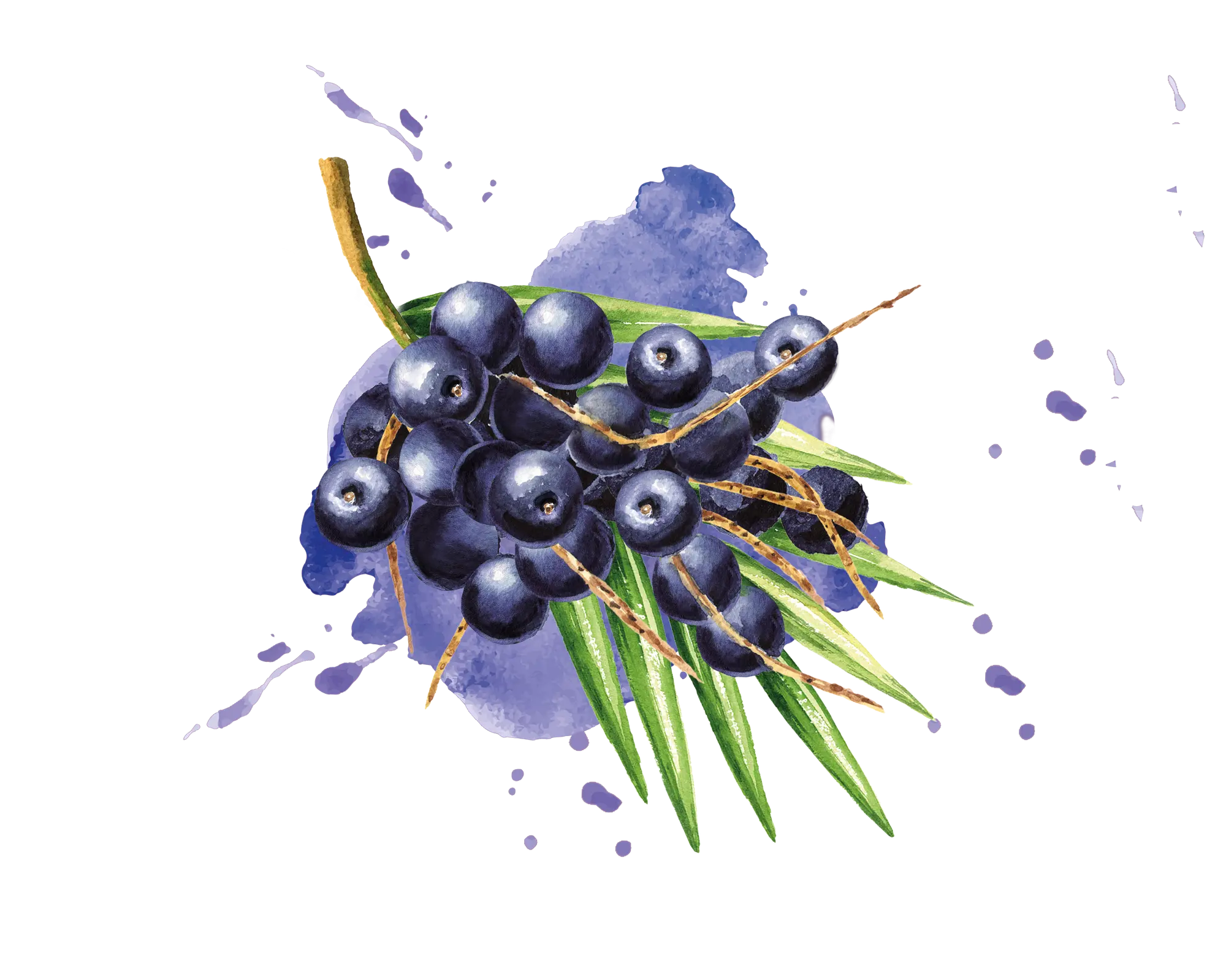 Acai IQF