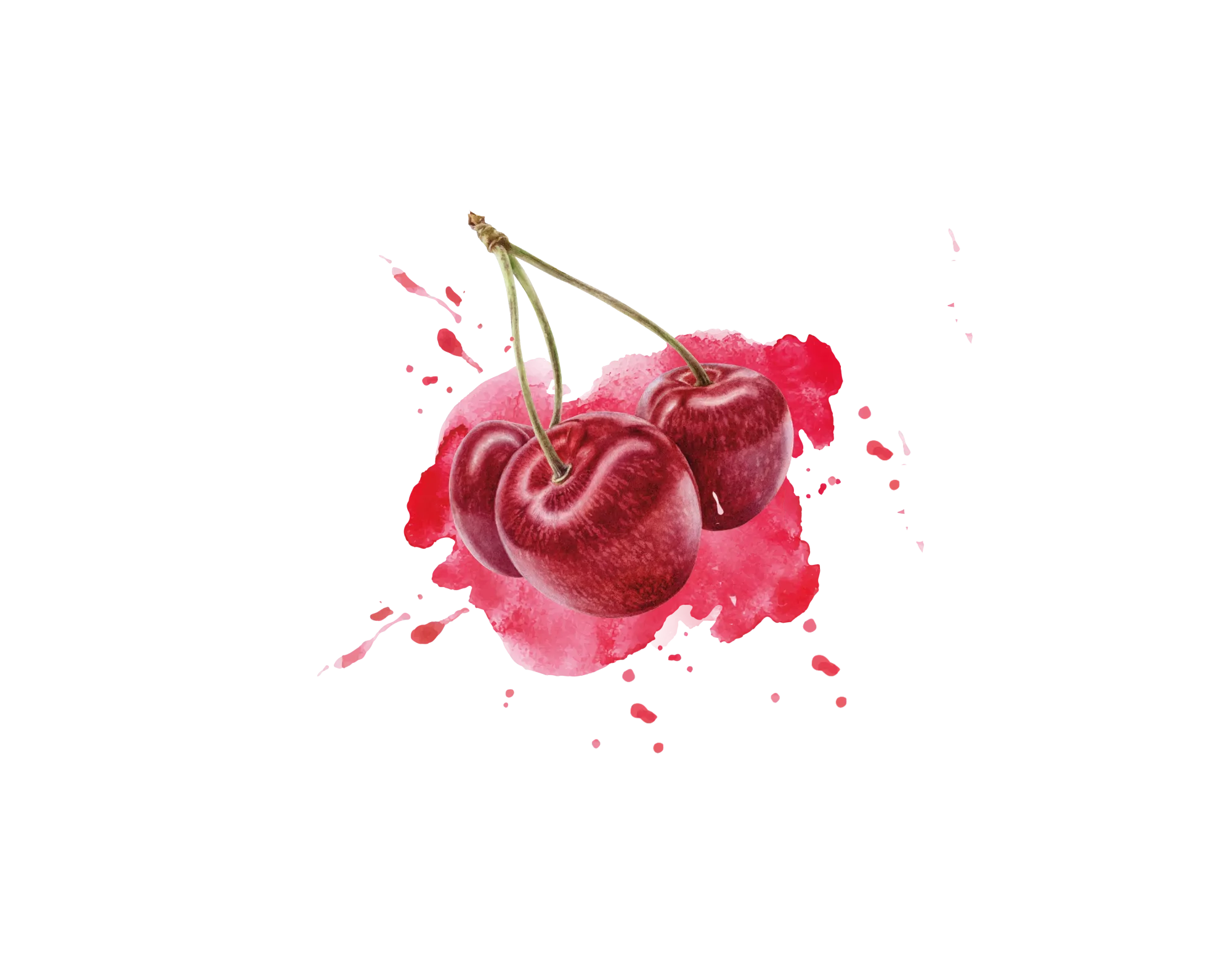 IQF Sour Cherry