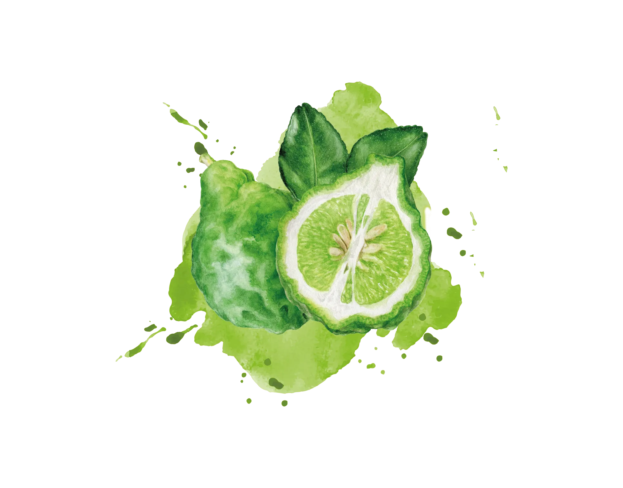 Bergamot Juice