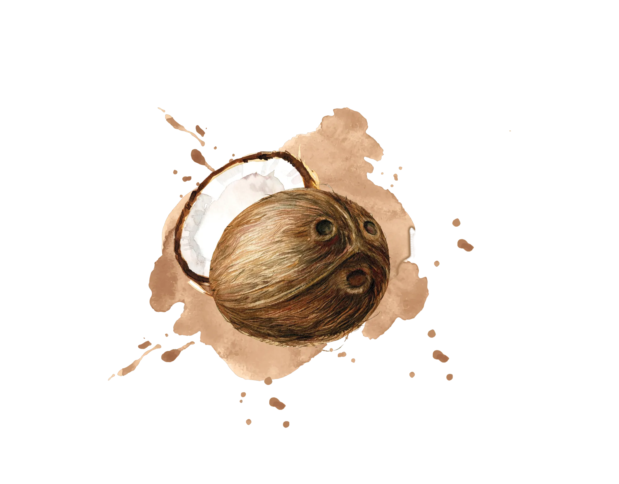 IQF Coconut