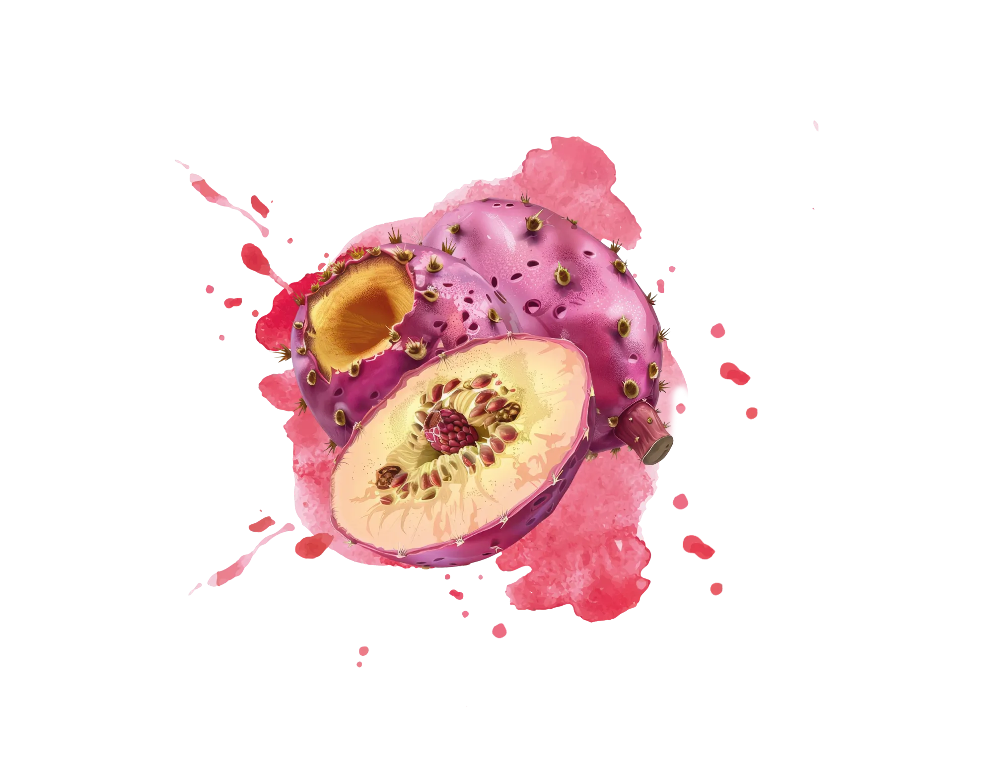 Prickle Pear Purée