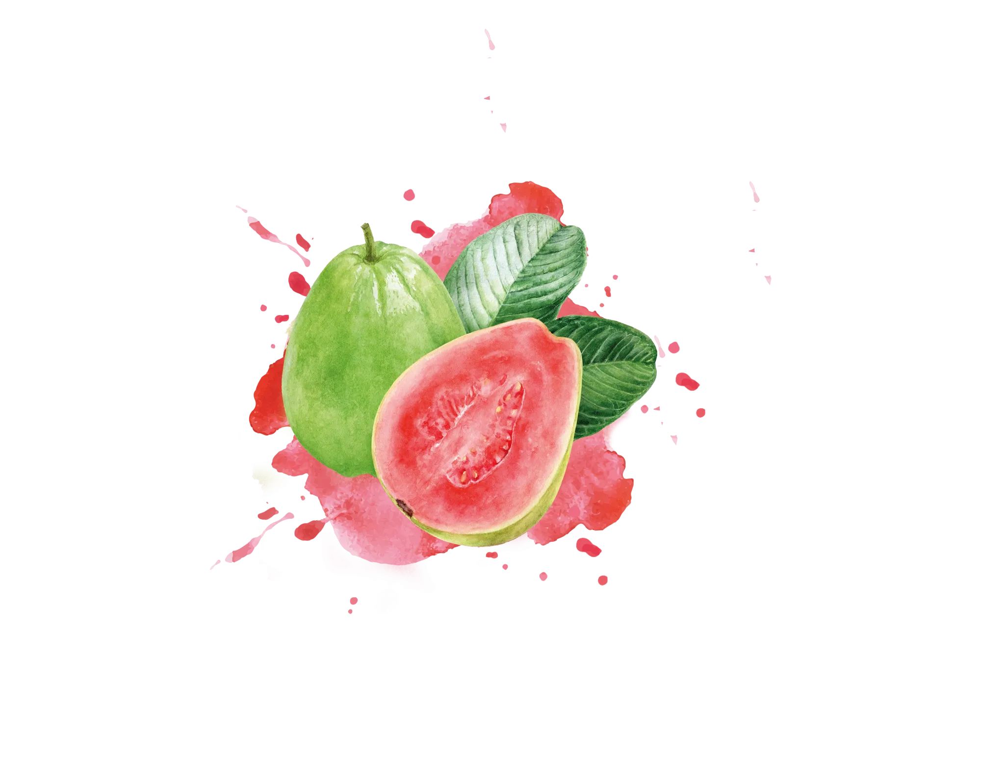 Pink Guava Puree