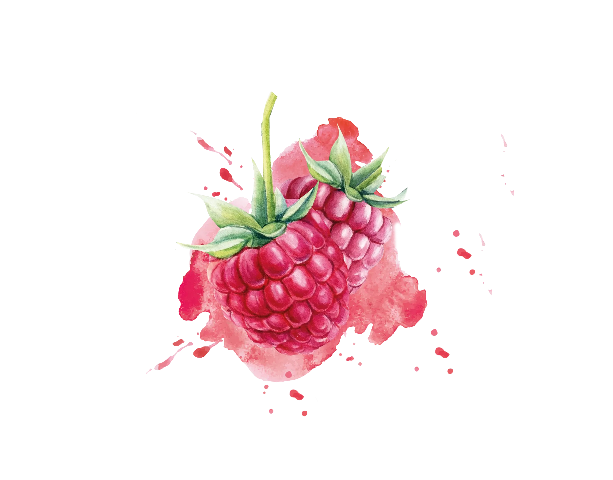 IQF Raspberry