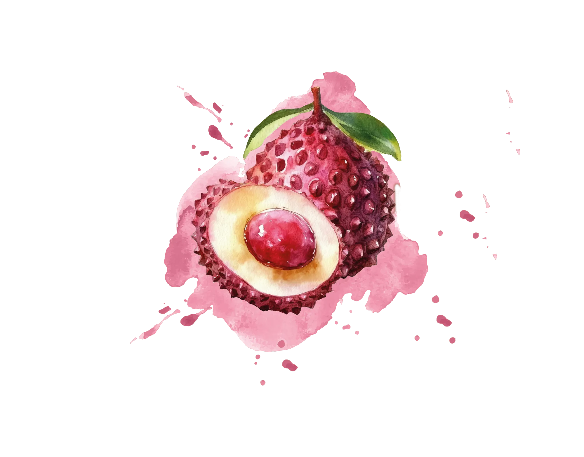 Lychee Mix Purée