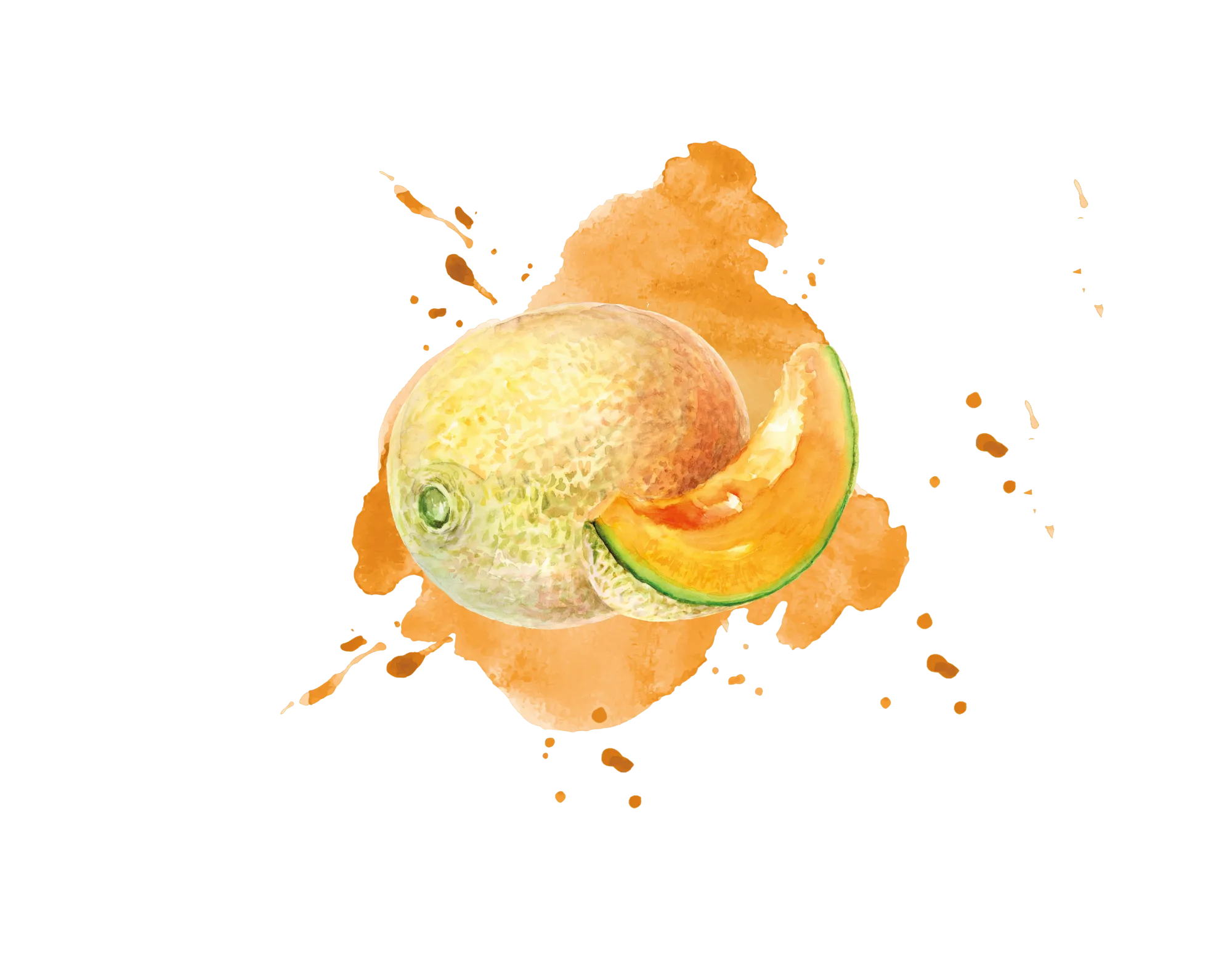 IQF Melon