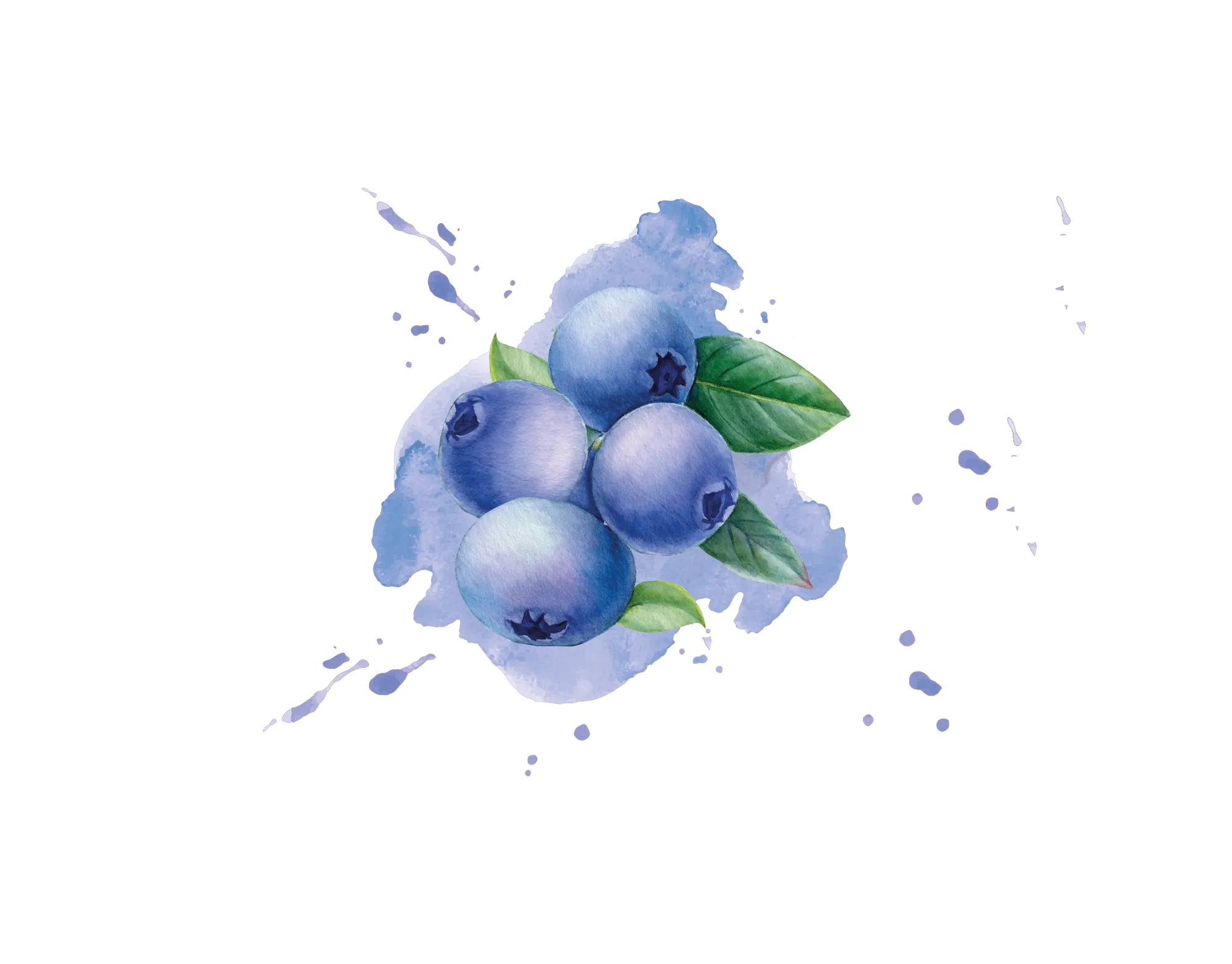 IQF Blueberry