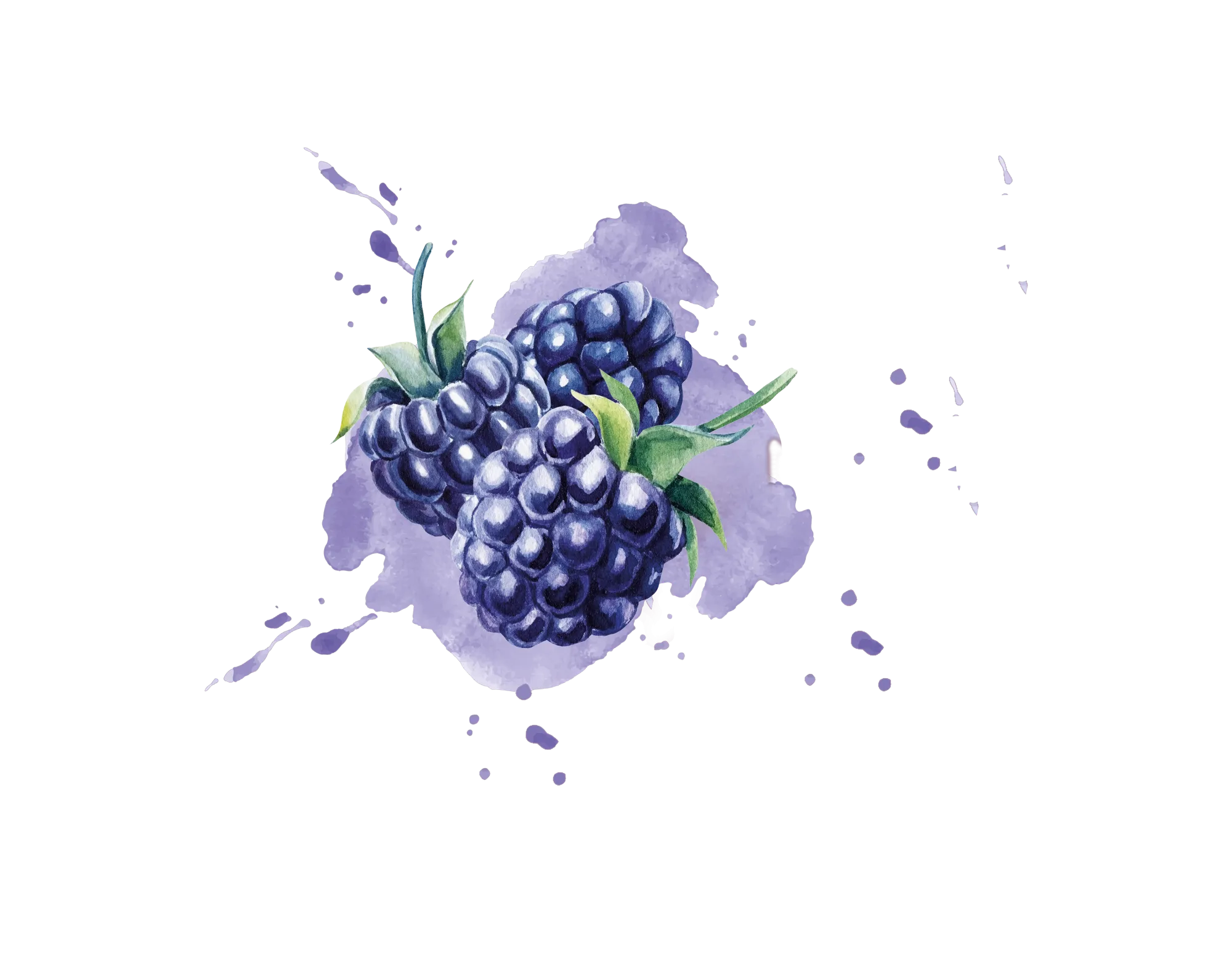IQF Mulberry