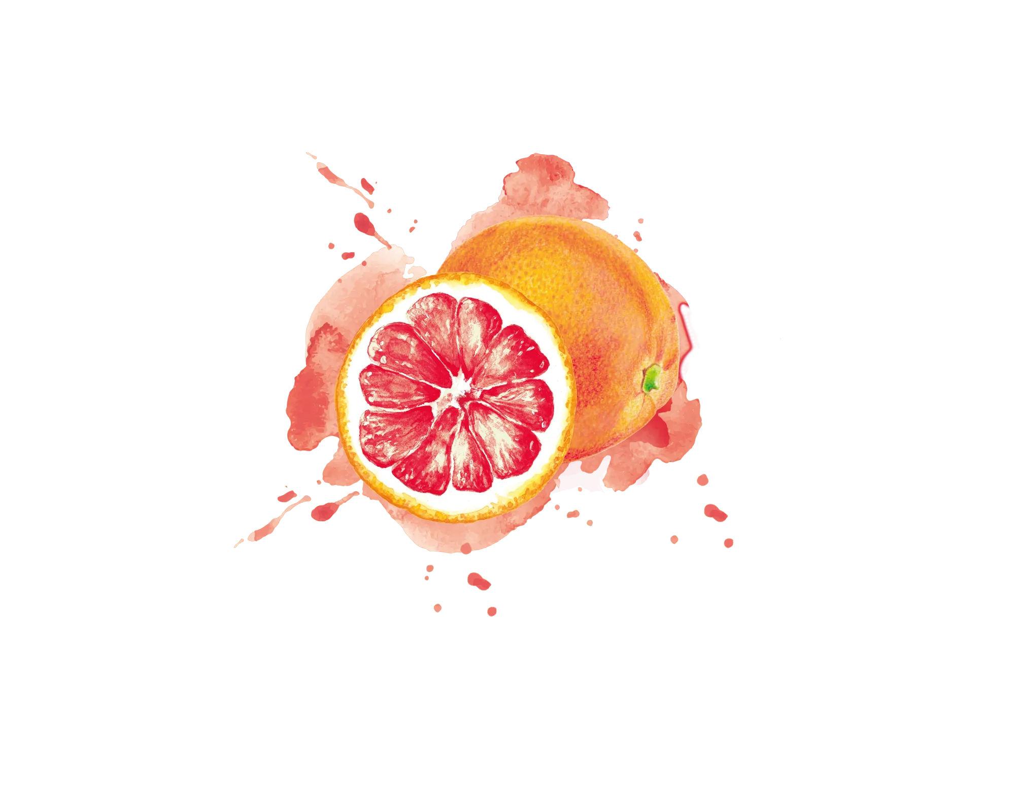 IQF Grapefruit
