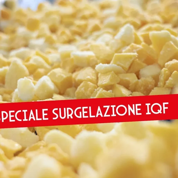 mazzoni-frutta-surgelata-iqf