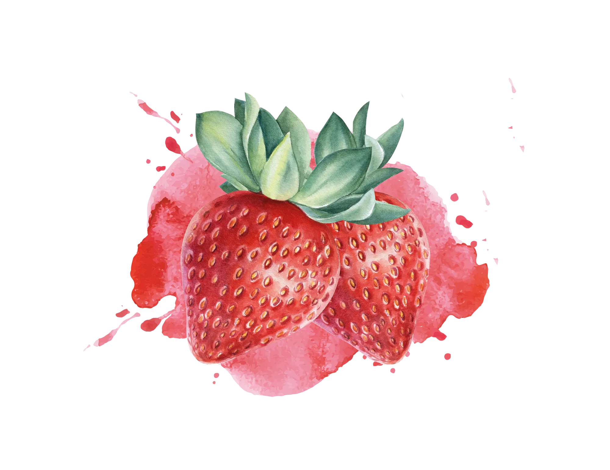 Strawberry with Mara de bois Puree